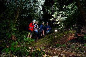 BIB: 
                            <button type="button" onclick="openModal(15973651)" class="btn btn-primary btn-sm float-right btn-popup" data-toggle="modal" data-target=".modal-high-quality">
                        <i class="fas fa-shopping-cart"></i> Add to Cart
                    </button>
                                            <button type="button" onclick="isThisMe(15973651, true)" class="btn btn-success btn-sm float-right btn-popup btn-isme hidden" data-toggle="tooltip" data-placement="bottom" title="นี่คือรูปของคุณใช่ไหม คลิกที่นี่เพื่อเอาเข้าอัลบั้ม">
                        <i class="fas fa-plus"></i> Add to album
                    </button>
                    <button type="button" onclick="isThisMe(15973651, false)" class="btn btn-warning btn-sm float-right btn-popup btn-isnotme hidden">
                        <i class="fas fa-ban"></i> Remove from album
                    </button>